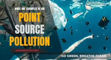 Air Quality Concerns: Point Source Pollutants and Their Examples