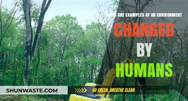 Human Impact: Transforming Ecosystems and Shaping Our Environment