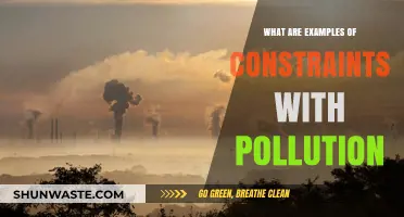 Pollution Constraints: Examples and Their Impact