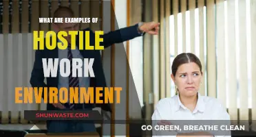 Recognizing Hostile Work Environments: Key Examples and Warning Signs