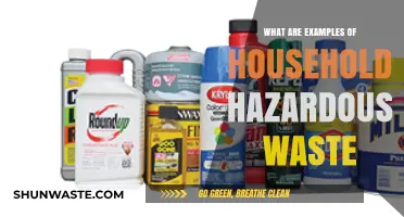 Everyday Dangers: Identifying Household Hazardous Waste Examples