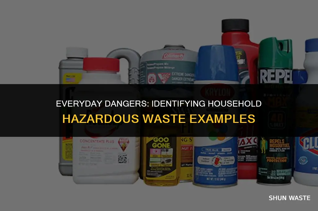 what are examples of household hazardous waste