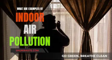 Indoor Air Hazards: Common Sources of Pollution