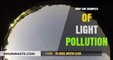 Light Pollution: Understanding Its Many Forms