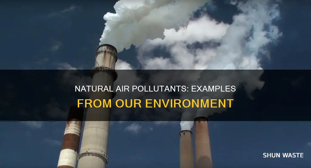 what are examples of natural air pollution