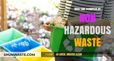 Eco-Friendly Disposal: Examples of Non-Hazardous Waste for Everyday Items