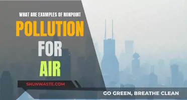 Nonpoint Air Pollution: Everyday Examples and Their Impact