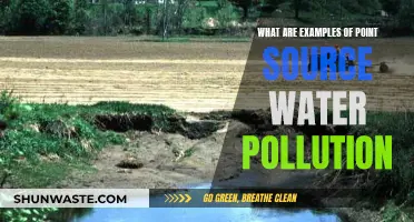 Understanding Point Source Pollution: Key Examples and Impact