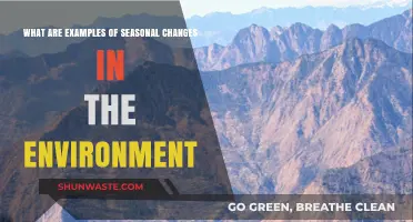 Exploring Nature's Transformations: Examples of Seasonal Environmental Changes