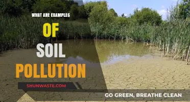 Soil Pollution: Examples and Their Impact