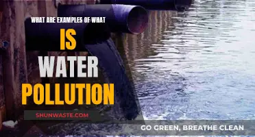 Unveiling Water's Dark Secrets: Real-World Pollution Examples