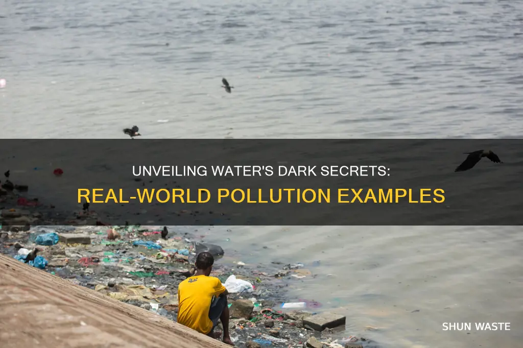 what are examples of what is water pollution