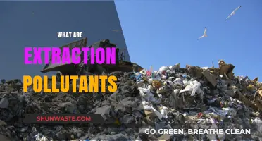 Extraction Pollutants: Understanding Their Nature and Impact
