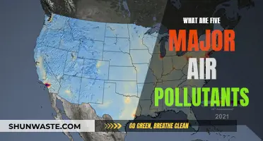 Air Pollutants: Five Major Hazards to Breathe Easy