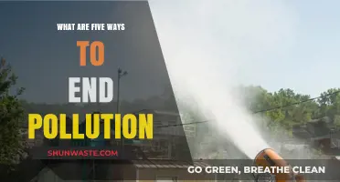 Ending Pollution: Five Ways to Save Our Planet