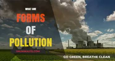 Understanding Pollution: Its Many Forms and Our Future