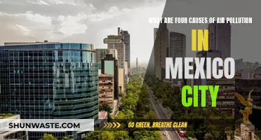 Mexico City's Air: Unveiling the Hidden Causes of Pollution