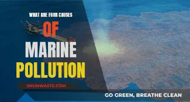 Unveiling the Ocean's Woes: Four Causes of Marine Pollution