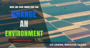 Transforming Surroundings: Four Key Factors Shaping Our Environment