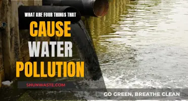 Unveiling the Hidden Causes: Water Pollution's Dark Secrets