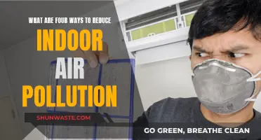 Breathe Easy: 4 Ways to Reduce Indoor Air Pollution