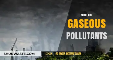 Airborne Hazards: Understanding Gaseous Pollutants