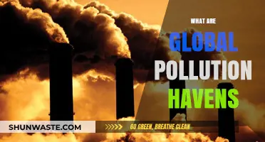 Pollution Havens: Global Impact, Local Tragedy