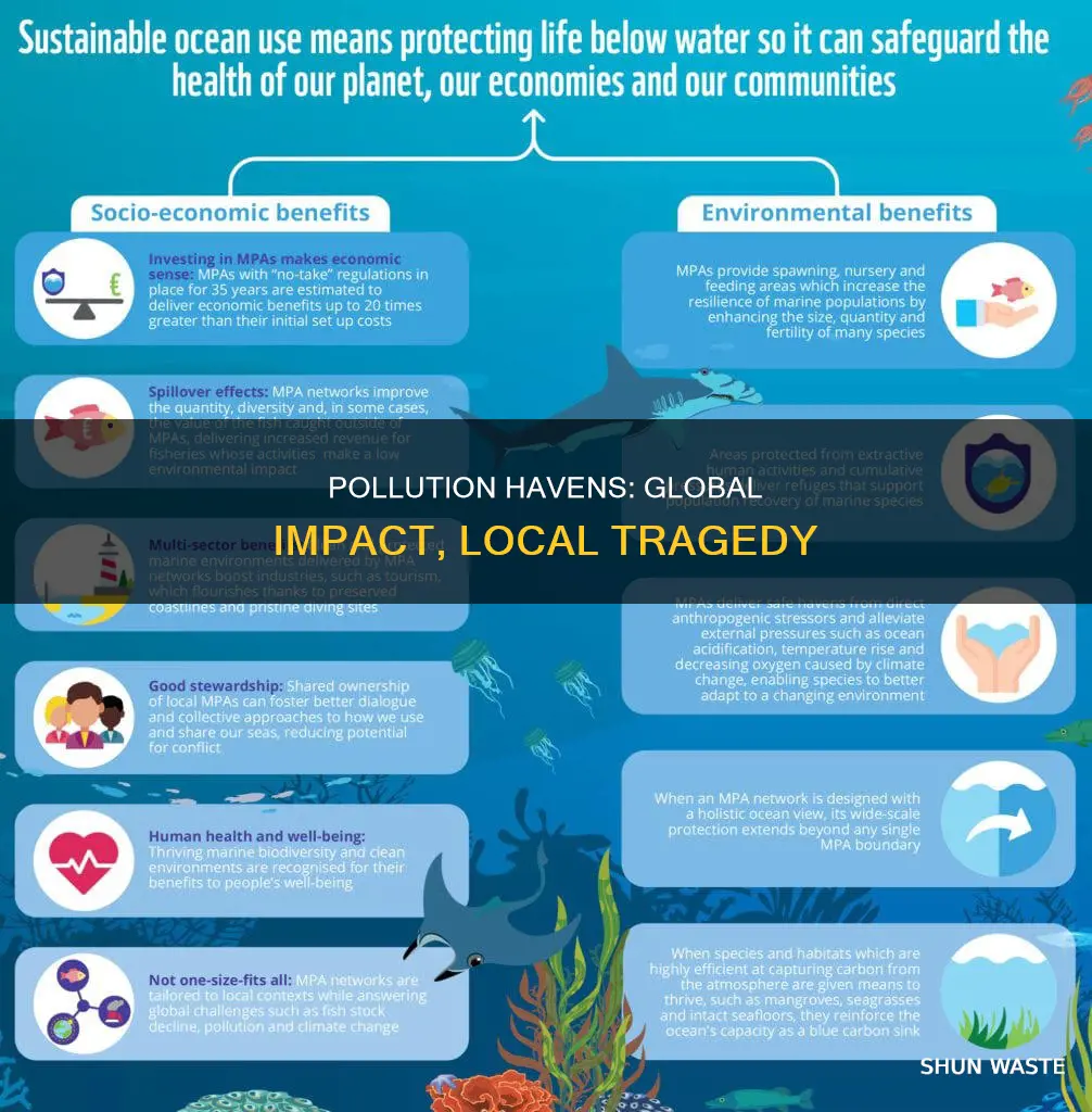 what are global pollution havens
