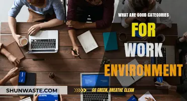 Enhancing Productivity: Key Categories for an Ideal Work Environment