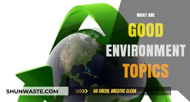 Exploring Vital Environment Topics for a Sustainable Future