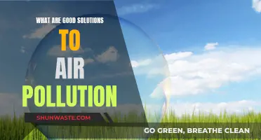Solutions to Clear the Air: Strategies for Pollution Reduction