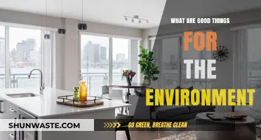 Sustainable Living: Simple Eco-Friendly Choices to Protect Our Planet