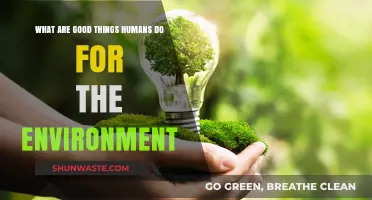 Positive Human Impact: Celebrating Eco-Friendly Actions for a Greener Planet