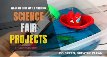 Innovative Experiments: Unveiling Water Pollution Solutions at Science Fairs