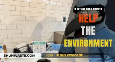 Sustainable Living: Simple, Effective Ways to Protect Our Planet Daily