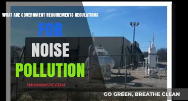 Noise Pollution: Understanding Government Regulations and Requirements