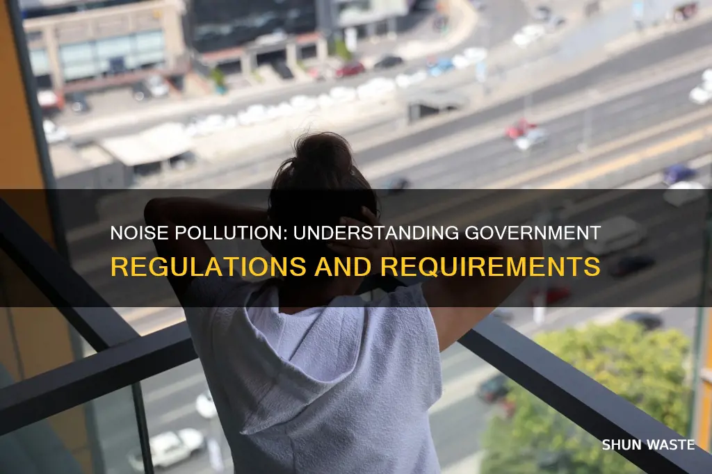 what are government requirements regulations for noise pollution