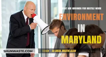 Understanding Hostile Work Environment Grounds in Maryland: Legal Insights