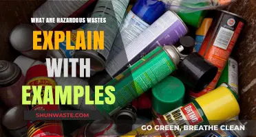 Understanding Hazardous Wastes: Real-World Examples and Safe Management Tips
