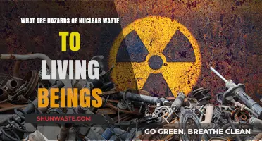 The Lethal Legacy: Hazards of Nuclear Waste to Living Beings