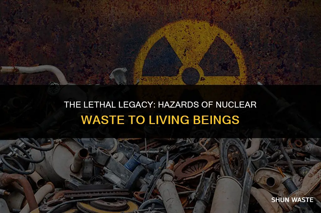 what are hazards of nuclear waste to living beings