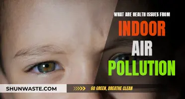 Air Quality Alert: Indoor Pollution's Health Risks