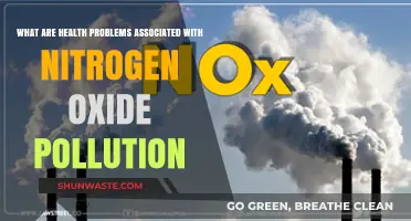 Nitrogen Oxide Pollution: Health Hazards and Risks