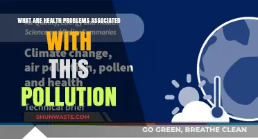 Air Pollution: What Health Risks?