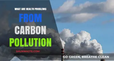 Carbon Pollution: A Health Hazard