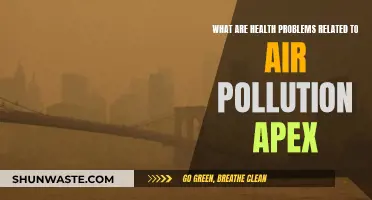 Air Pollution's Health Impact: Apex Concerns and Solutions