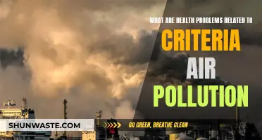 Air Pollution's Health Hazards: Understanding Criteria Pollutants' Impact