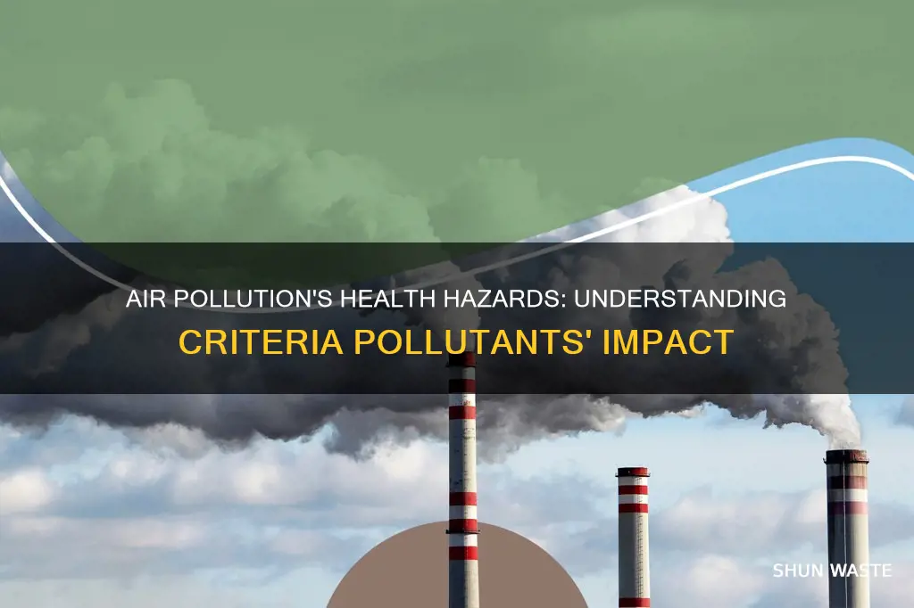 what are health problems related to criteria air pollution