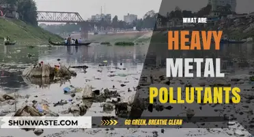Heavy Metal Contamination: Toxic Threats
