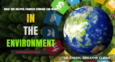 Sustainable Steps: Positive Environmental Changes Humans Can Implement Today